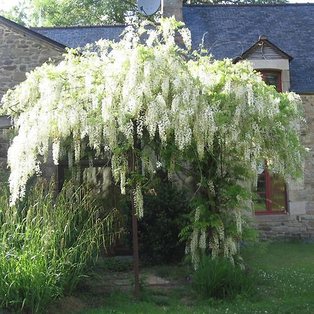 La Guyonnais Bed & Breakfast Quévert Dış mekan fotoğraf