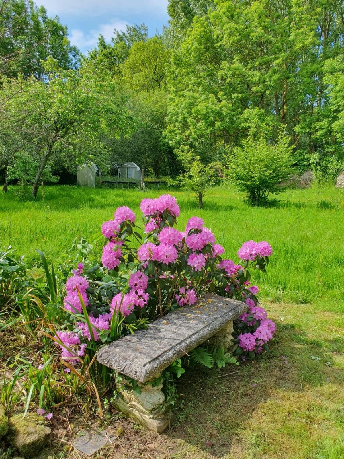 La Guyonnais Bed & Breakfast Quévert Dış mekan fotoğraf